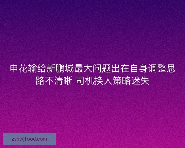 申花输给新鹏城最大问题出在自身调整思路不清晰 司机换人策略迷失