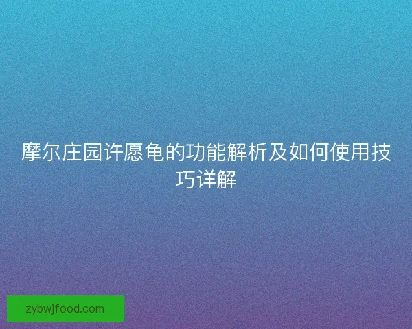 摩尔庄园许愿龟的功能解析及如何使用技巧详解