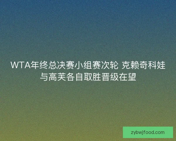 WTA年终总决赛小组赛次轮 克赖奇科娃与高芙各自取胜晋级在望