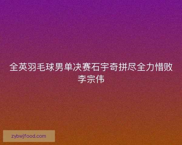 全英羽毛球男单决赛石宇奇拼尽全力惜败李宗伟