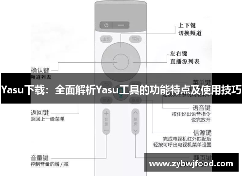 Yasu下载：全面解析Yasu工具的功能特点及使用技巧