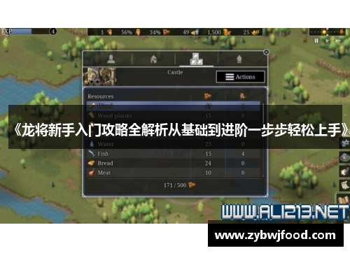 《龙将新手入门攻略全解析从基础到进阶一步步轻松上手》