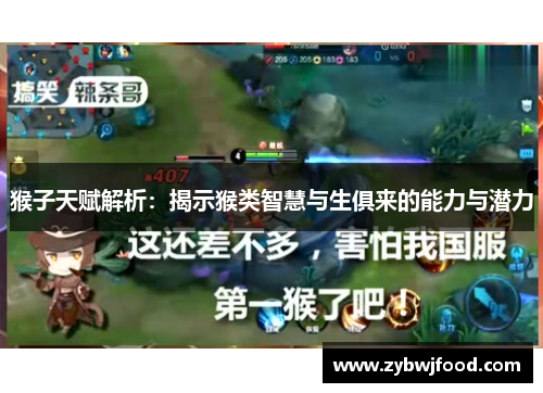 猴子天赋解析：揭示猴类智慧与生俱来的能力与潜力