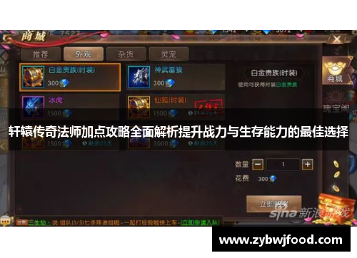 轩辕传奇法师加点攻略全面解析提升战力与生存能力的最佳选择