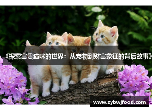 《探索富贵猫咪的世界：从宠物到财富象征的背后故事》